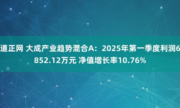 道正网 大成产业趋势混合A：2025年第一季度利润6852.12万元 净值增长率10.76%