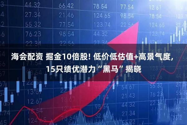 海会配资 掘金10倍股! 低价低估值+高景气度, 15只绩优潜力“黑马”揭晓