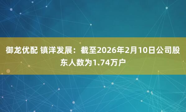 御龙优配 镇洋发展：截至2026年2月10日公司股东人数为1.74万户