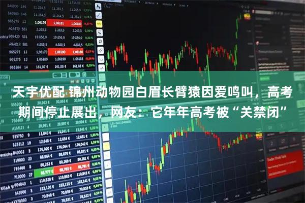 天宇优配 锦州动物园白眉长臂猿因爱鸣叫，高考期间停止展出，网友：它年年高考被“关禁闭”