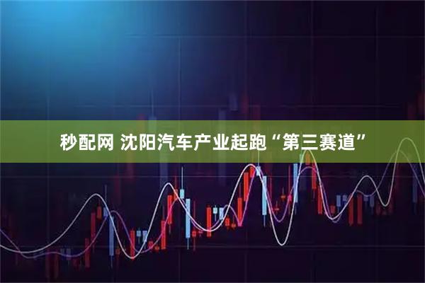 秒配网 沈阳汽车产业起跑“第三赛道”